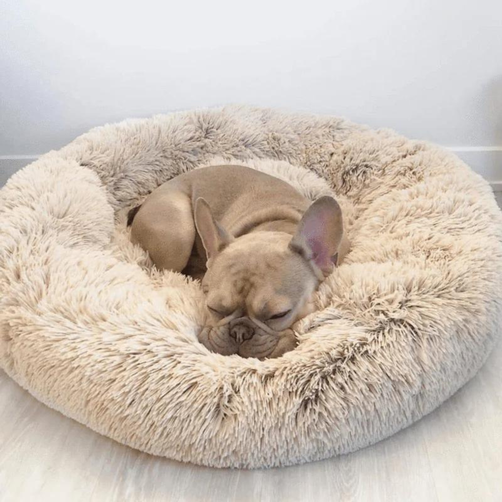 CozyBed - Mjuk och bekväm hundsäng