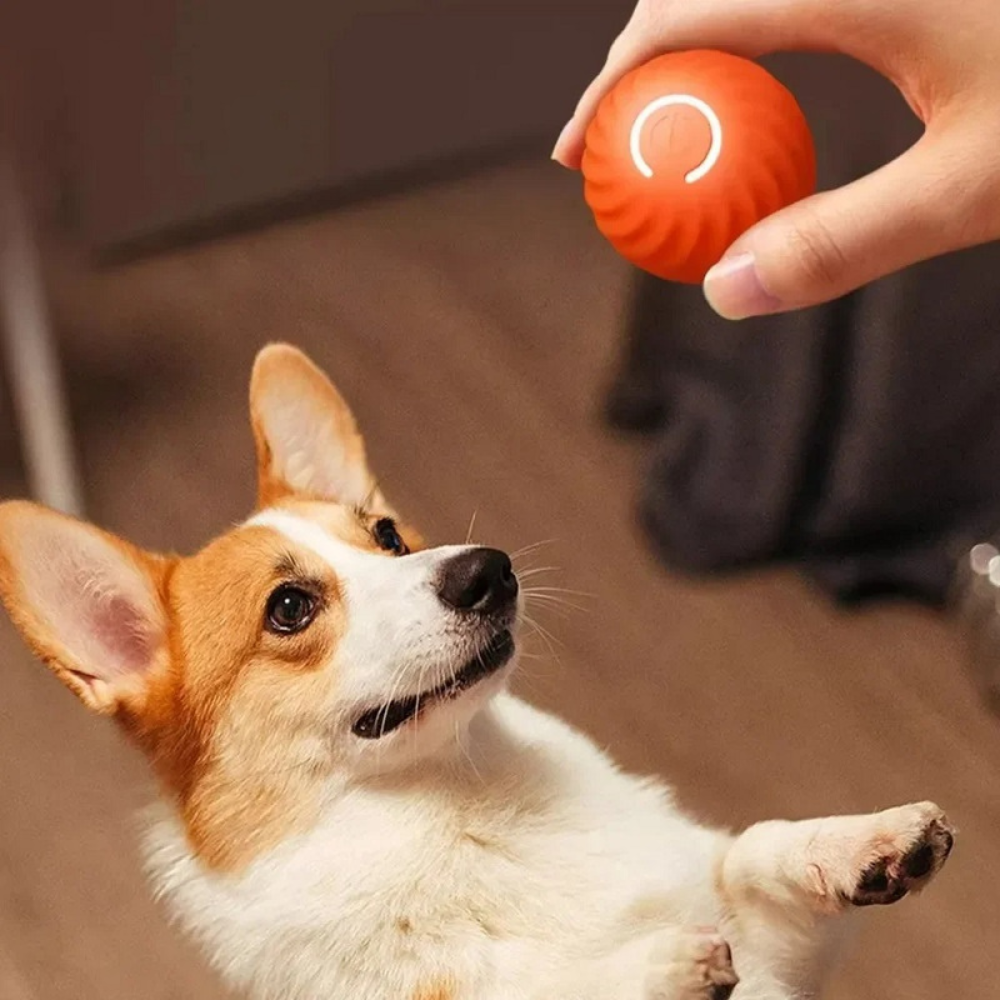 PowerBall 2.0 - Självgående boll för hundar