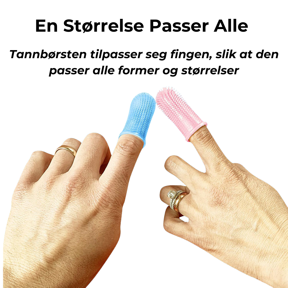 DoggieBrush - Tandborste för hundar