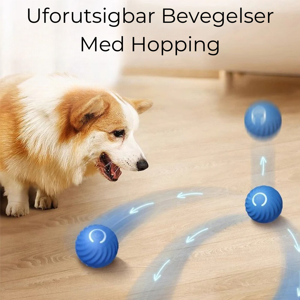 PowerBall 2.0 - Självgående boll för hundar