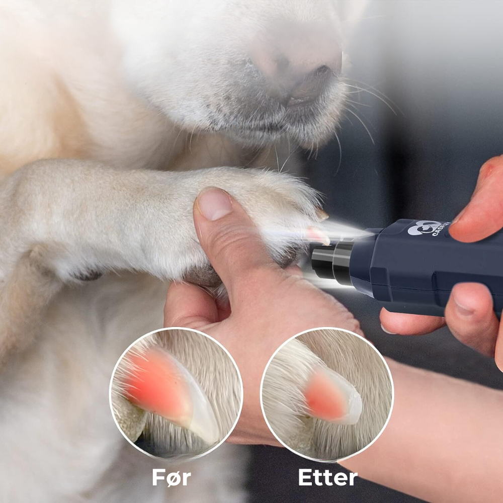 DogNail - Smärtfri elektrisk nagelslipare