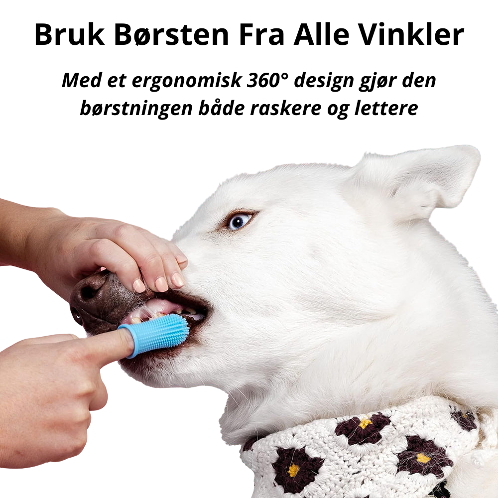 DoggieBrush - Tandborste för hundar