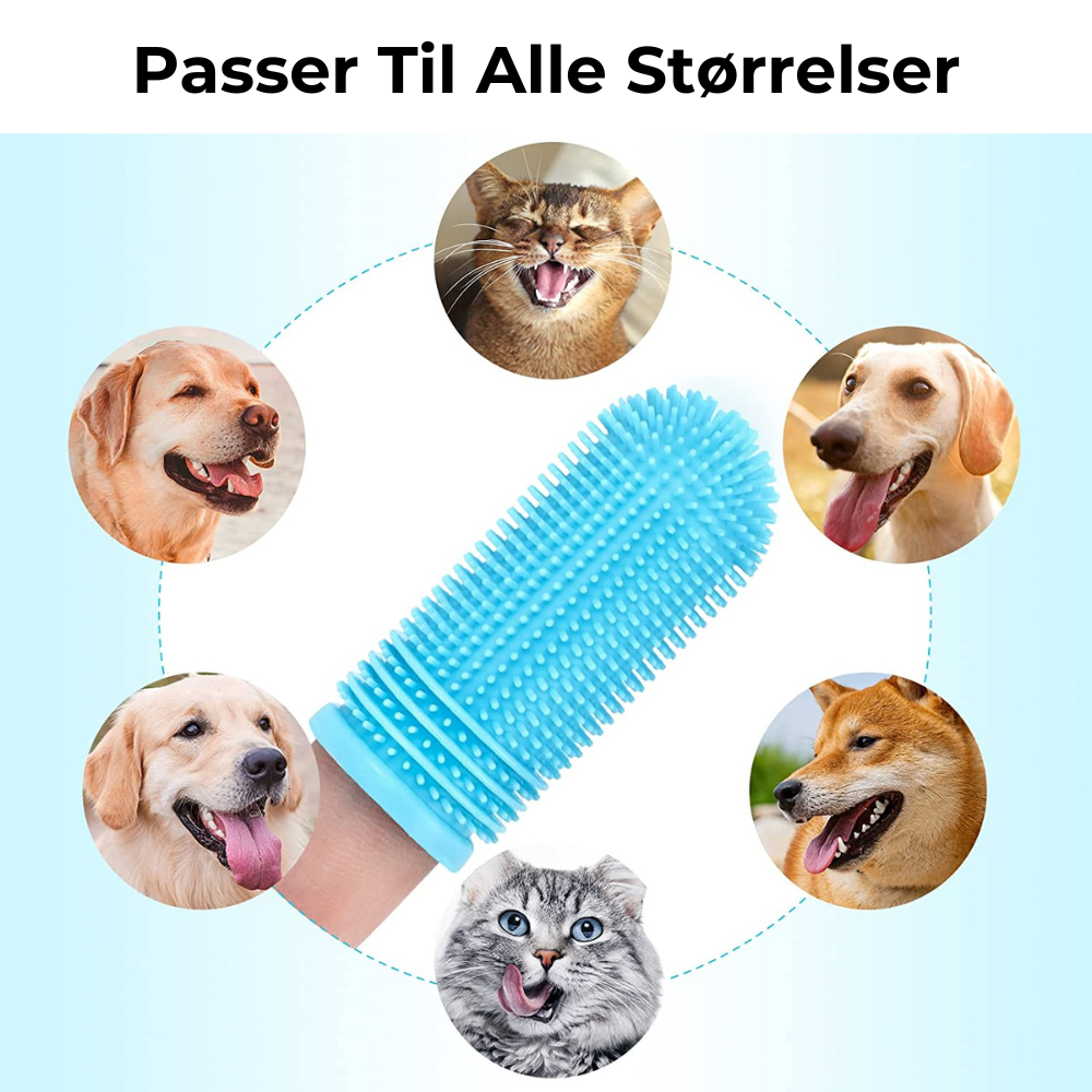 DoggieBrush - Tandborste för hundar